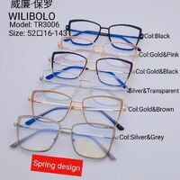 Metal +TR90 ultrathin frames with flex hinges Wilibolo TR3006