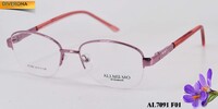 Metal eyeglass frame, material steel Allmilmo AL7091