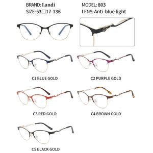 Очки защитные металлические с антибликовым покрытием Landi LD803