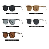 Пластиковые поляризационные солнцезащитные очки Elit 10044-EL