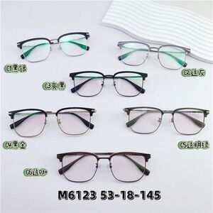 Hybrid metal + TR90 frame SANTA M6123