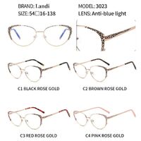 Очки защитные металлические с защитой от синего света Landi LD3023