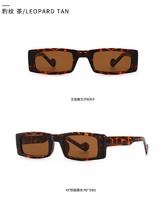 Sunglasses Elit modern retro rectangular 307