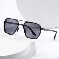 Metal retro sunglasses Elit ZTT010-EL