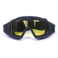 Safety shockproof tactical fog-proof goggles 蝗虫大集合-DX