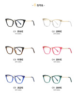 Plastic frames for glasses TR90+CA material (flex hinges) FOCUS FCS2069