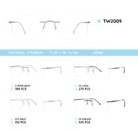 Titanium frames TW2009