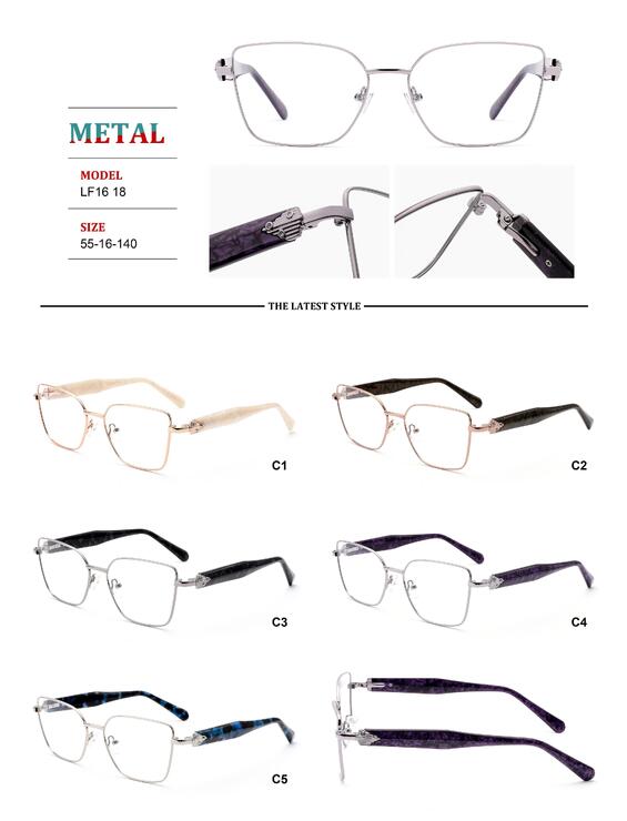 Metal frames for glasses with spring hinges Big City LF1618