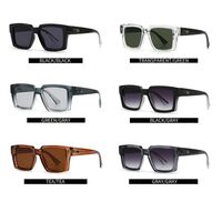 Plastic sunglasses for men Elit 3604-EL