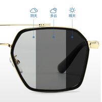 Очки поляризационные пластиковые фотохромные с защитой от синего света 9720-2-GT