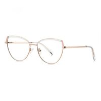 Metal Blue Blocker frames for glasses More FCS3119