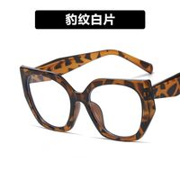 Очки пластиковые женские с защитой от синего света 18119-PN