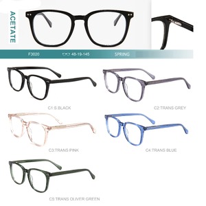 Acetate plastic frames for glasses with spring hinges Big City F3020