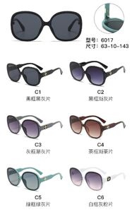 PC plastic sunglasses with metal hinge 6017W