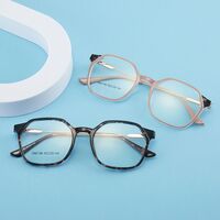 TR90 plastic frame or glasses with blue light protection, with spring hinges FA87184