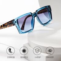 Plastic + metal square sunglasses for men Elit 3201-EL