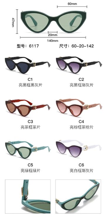 PC plastic sunglasses with metal hinge 6117W