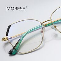 Оправа металлическая с линзами блю-блокерами MORE 3080