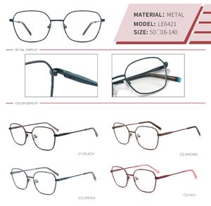 Metal frame LE6421-DA