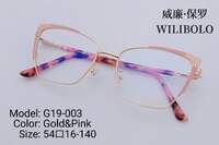 Оправа металл + TR90 ультратонкая женская с флексом Wilibolo G19-003