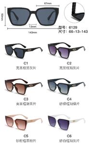 PC plastic sunglasses with metal hinge 6129W