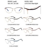 Очки защитные металлические с защитой от синего света Landi LD3025