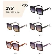 Polarized metal + TR90 sunglasses P05KY 2951