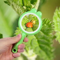 Детская лупа, увеличительное стекло с ручкой 卡通放大镜-XX, диаметр: 60 мм, увеличение: 4Х