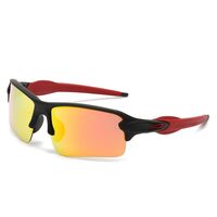 Polarized plastic sunglasses with UV400 protection 2975-GT