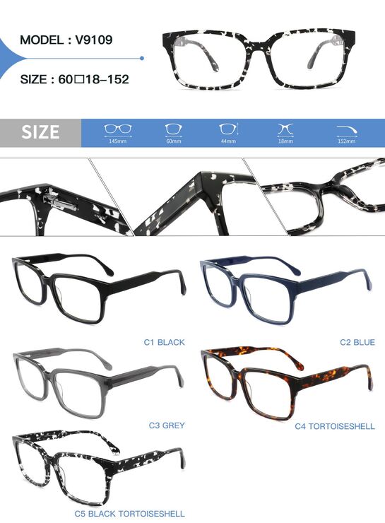 Plastic acetate frame for glasses with spring hinges Big City V9109