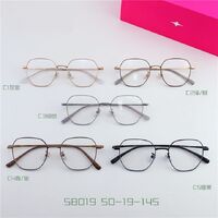 Оправа металлическая из титана SANTA 58019