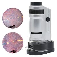Portable microscope 10081-8, magnification: 20-40X