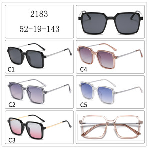 Оправа гибридная, металл + TR90, с магнитной солнцезащитной насадкой SANTA 2183