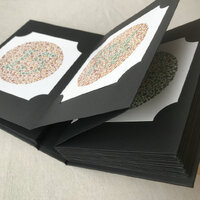 Set of 38 test charts for the color blindness diagnosis