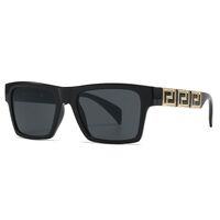 Plastic sunglasses for women Elit 4445-EL
