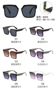 PC plastic sunglasses with metal hinge 6023W