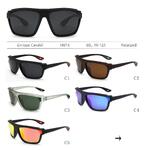 Polarized plastic sunglasses Enrique Cavaldi EC18016