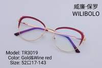 Metal +TR90 ultrathin women's frames with spring hinges Wilibolo TR3019