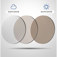 Очки металлические фотохромные с защитой от синего света 9663-GT