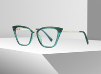 Plastic frames for glasses TR90+CA material (flex hinges) FOCUS FCS2069