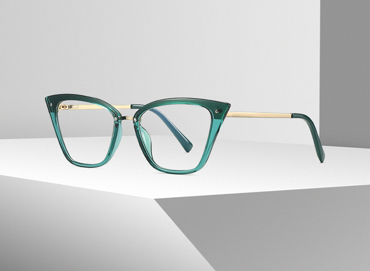 Plastic frames for glasses TR90+CA material (flex hinges) FOCUS FCS2069