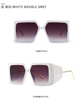 Sunglasses Elit modern 86002