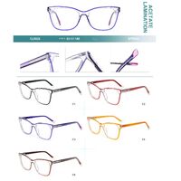 Plastic frames for glasses, acetate lamination with spring hinges Big City CL9026