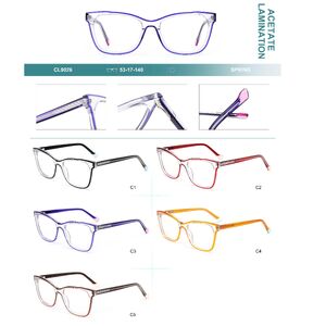 Оправа пластиковая из ламинированного многослойного ацетата с флексом Big City CL9026