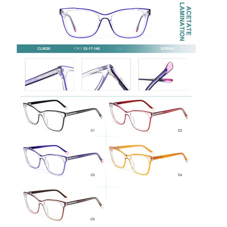 Plastic frames for glasses, acetate lamination with spring hinges Big City CL9026