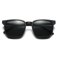 TR90/PC plastic frame + 5 polarized sun protection magnet clip-on set + leather bag El Dorado EL9507