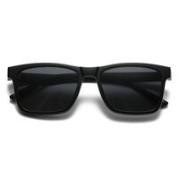 TR90/PC plastic frame + 5 polarized sun protection magnet clip-on set + leather bag El Dorado EL9503