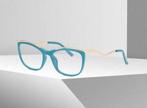 Plastic frames for glasses TR90+CA material (flex hinges) FOCUS FCS2071