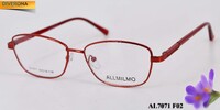 Дешёвая металлическая оправа для очков Allmilmo AL7071
