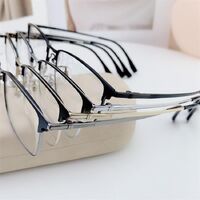 Оправа титановая SANTA T9104